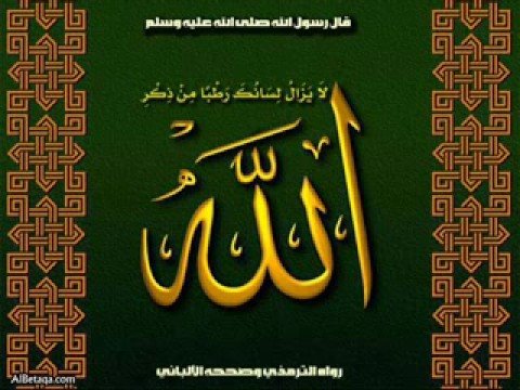 Kitab Al Fiqh Al Muyassir.....In Arabic.....كتاب الفقه الميسِّر