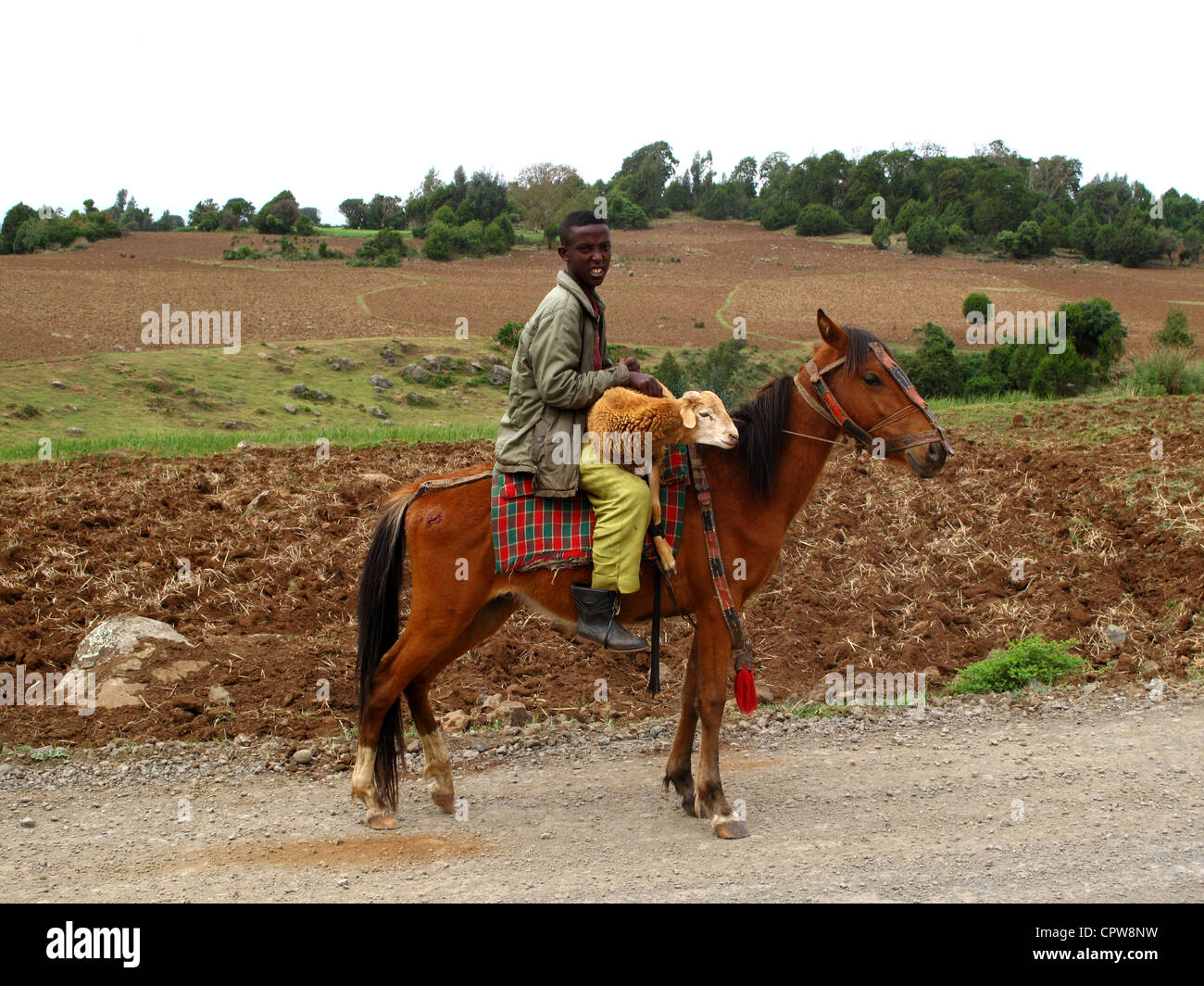 Africa ridding