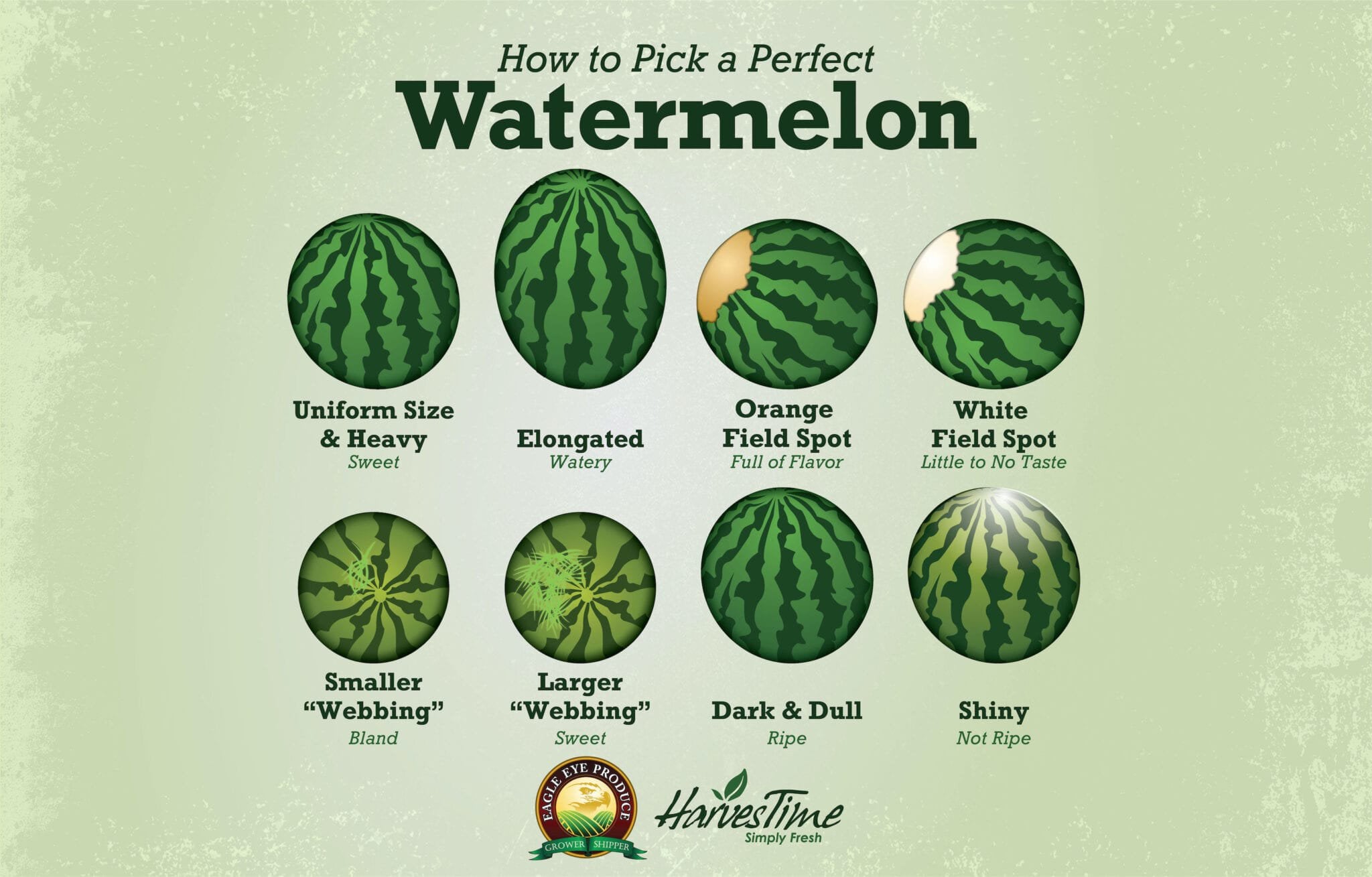 How To Pick A Good Watermelon