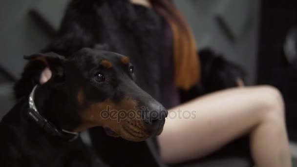 Dog with girls sexi video