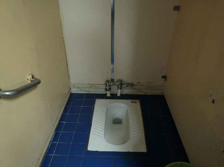 Chinese-Style Toilets