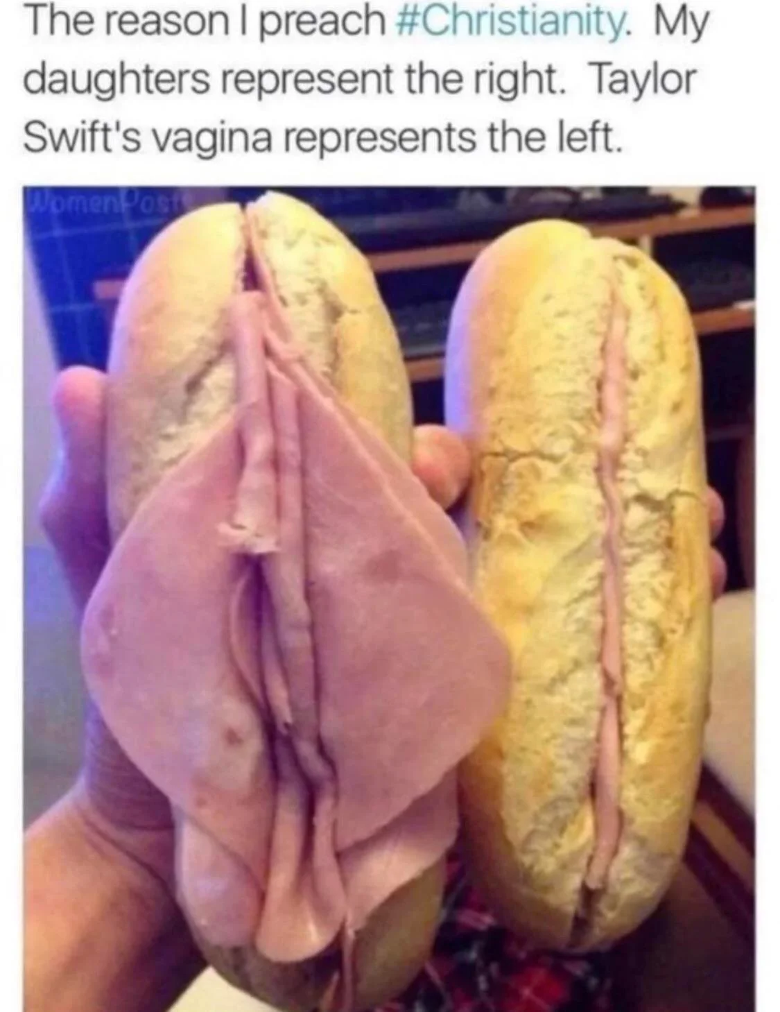 Taylor long labia