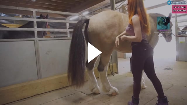 dog horse and girl 3d animals videos xxxxiii