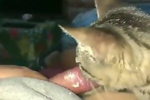 Very beautiful cat sucking big and thick dick