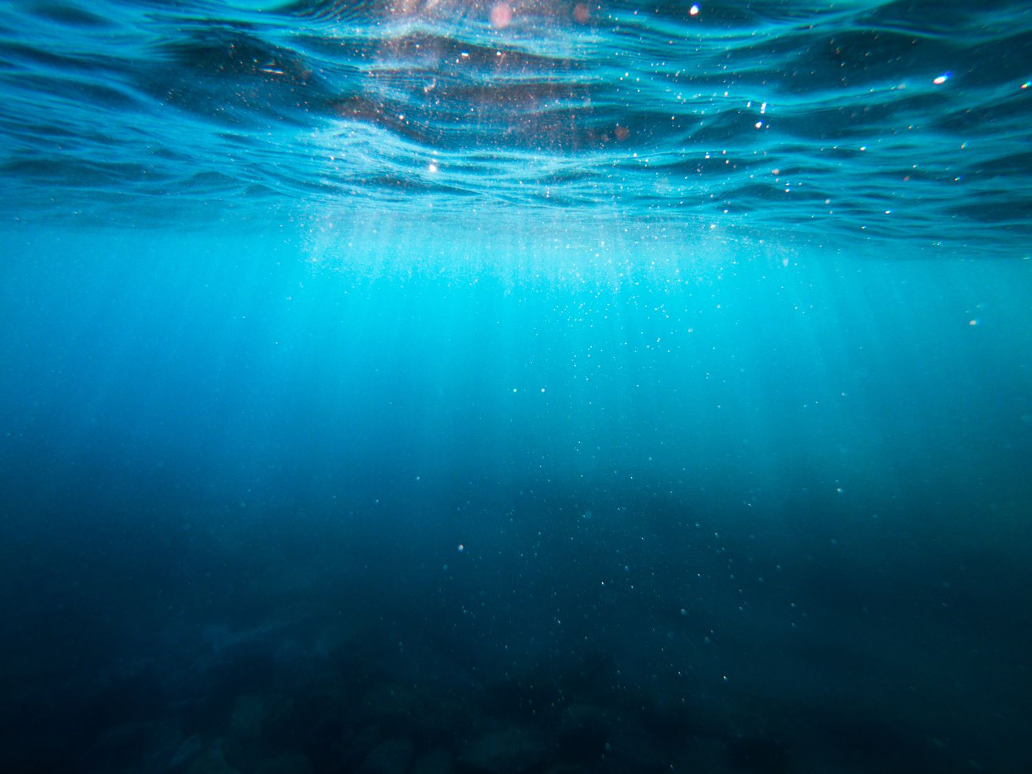 View from underneath