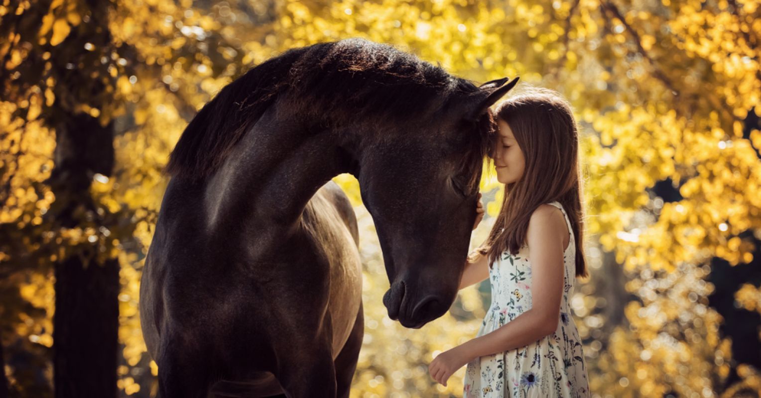 dog horse and girl 3d animals videos xxxxiii