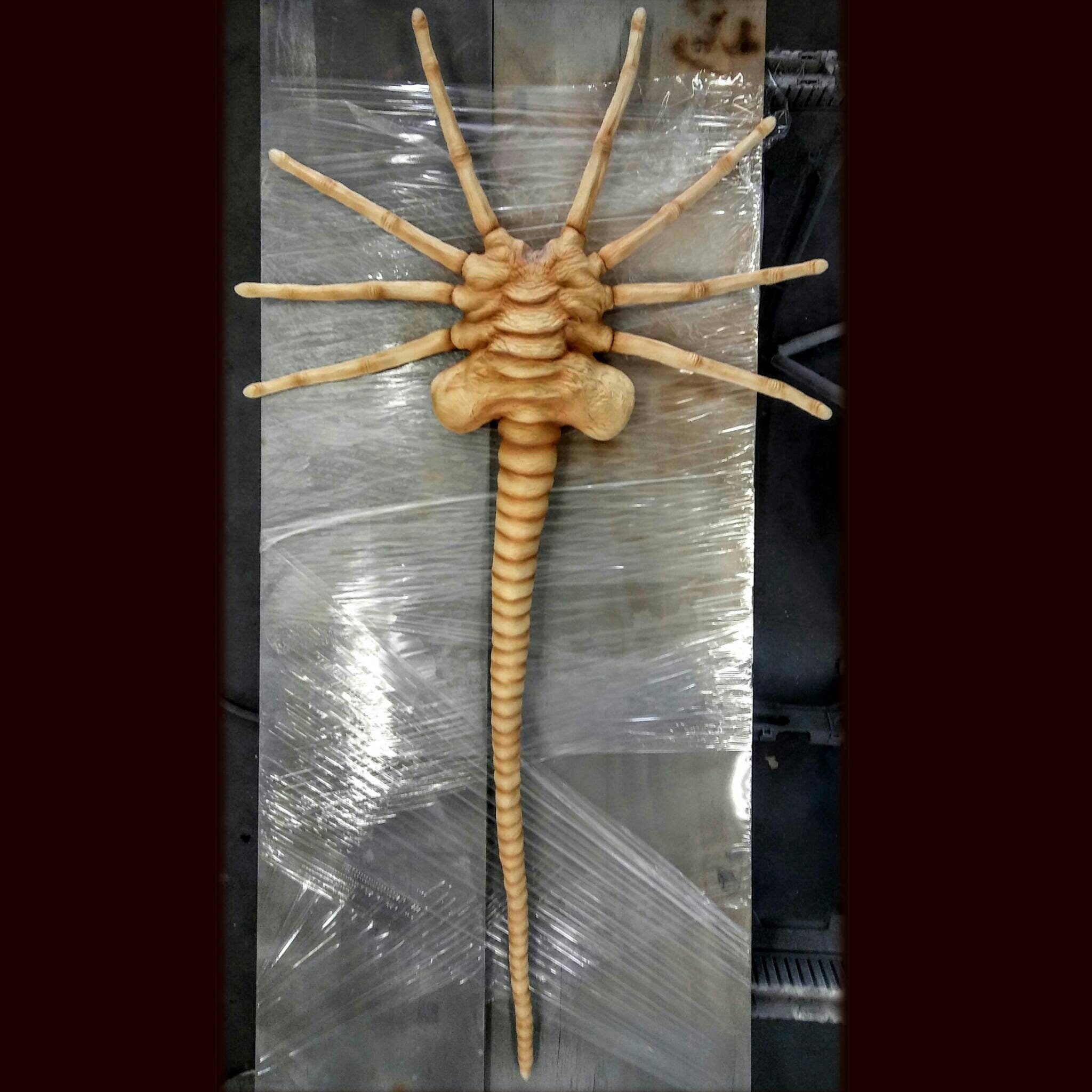 Facehugger full