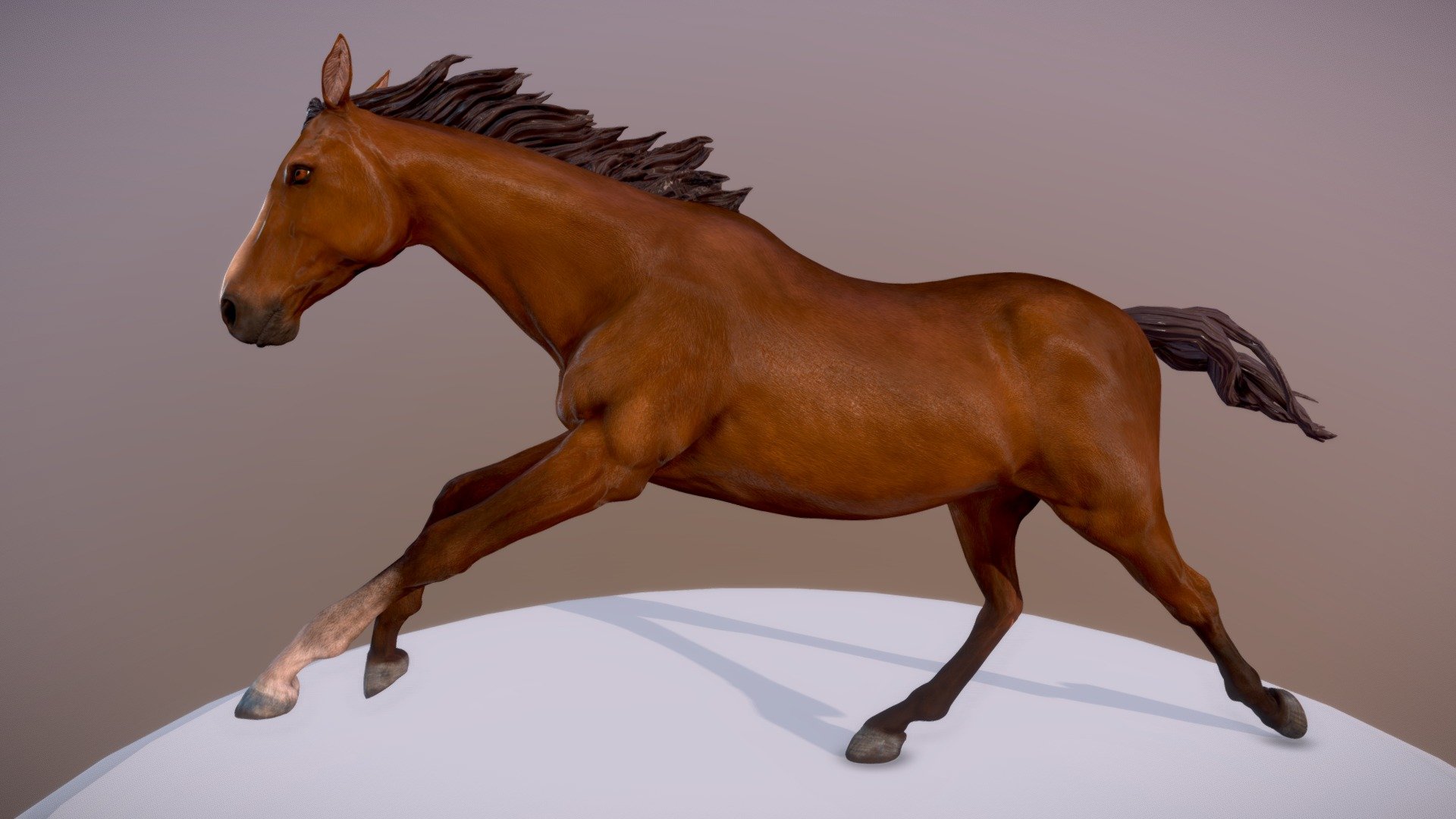 Horses 3D models