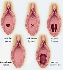 Could I Get an Infection From Fingering or Oral Sex?