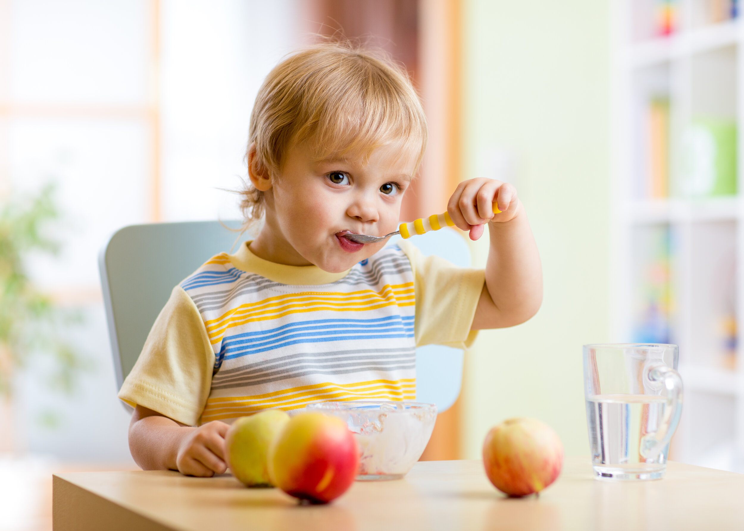 What should I feed my toddler?