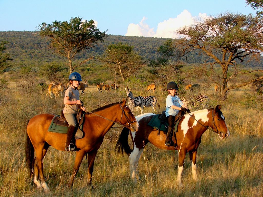 South Africa riding for beginners and novice riders