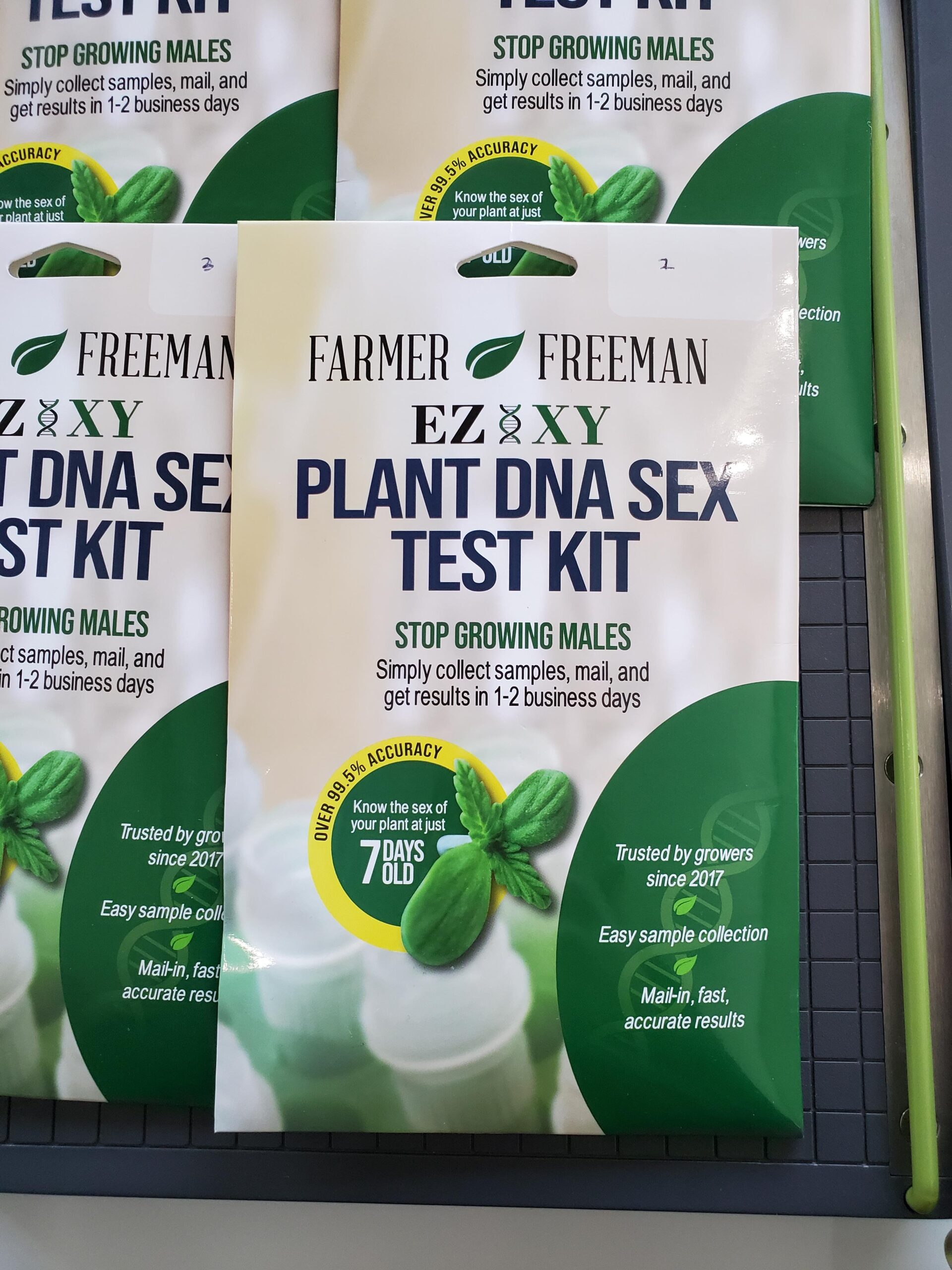 Test DNA sex