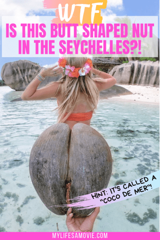 The Butt Nut: The Bootylicious Star of the Seychelles’ Ecosystem