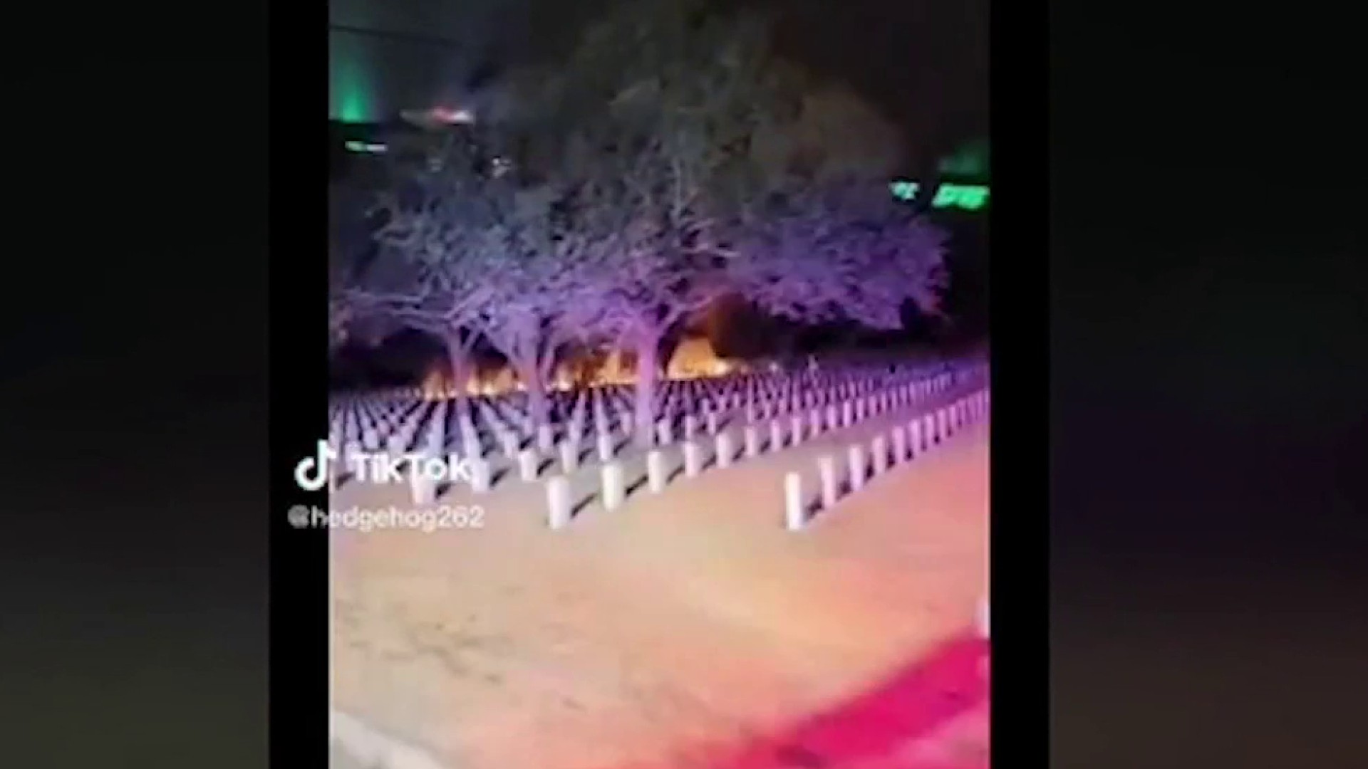 Viral cemetery all video