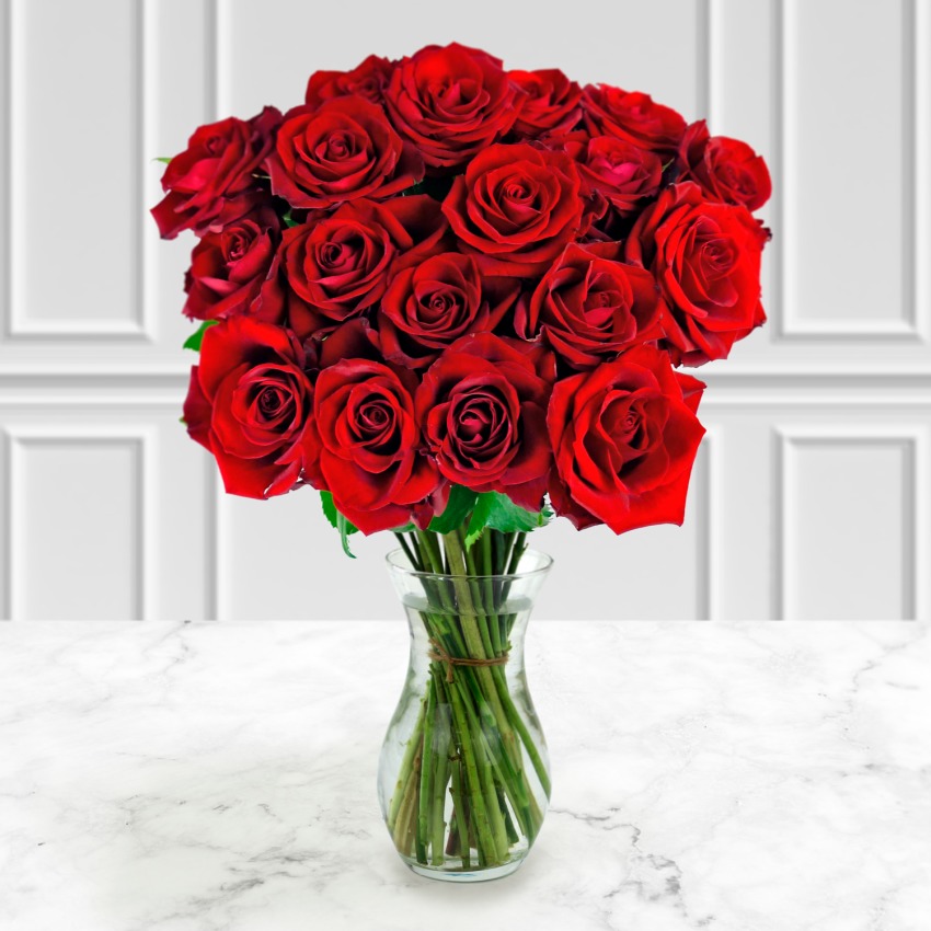 18 Red Roses