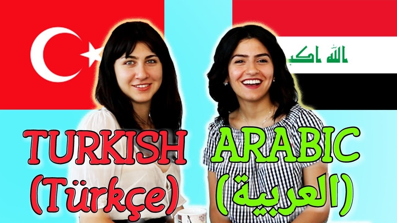 Arab turky