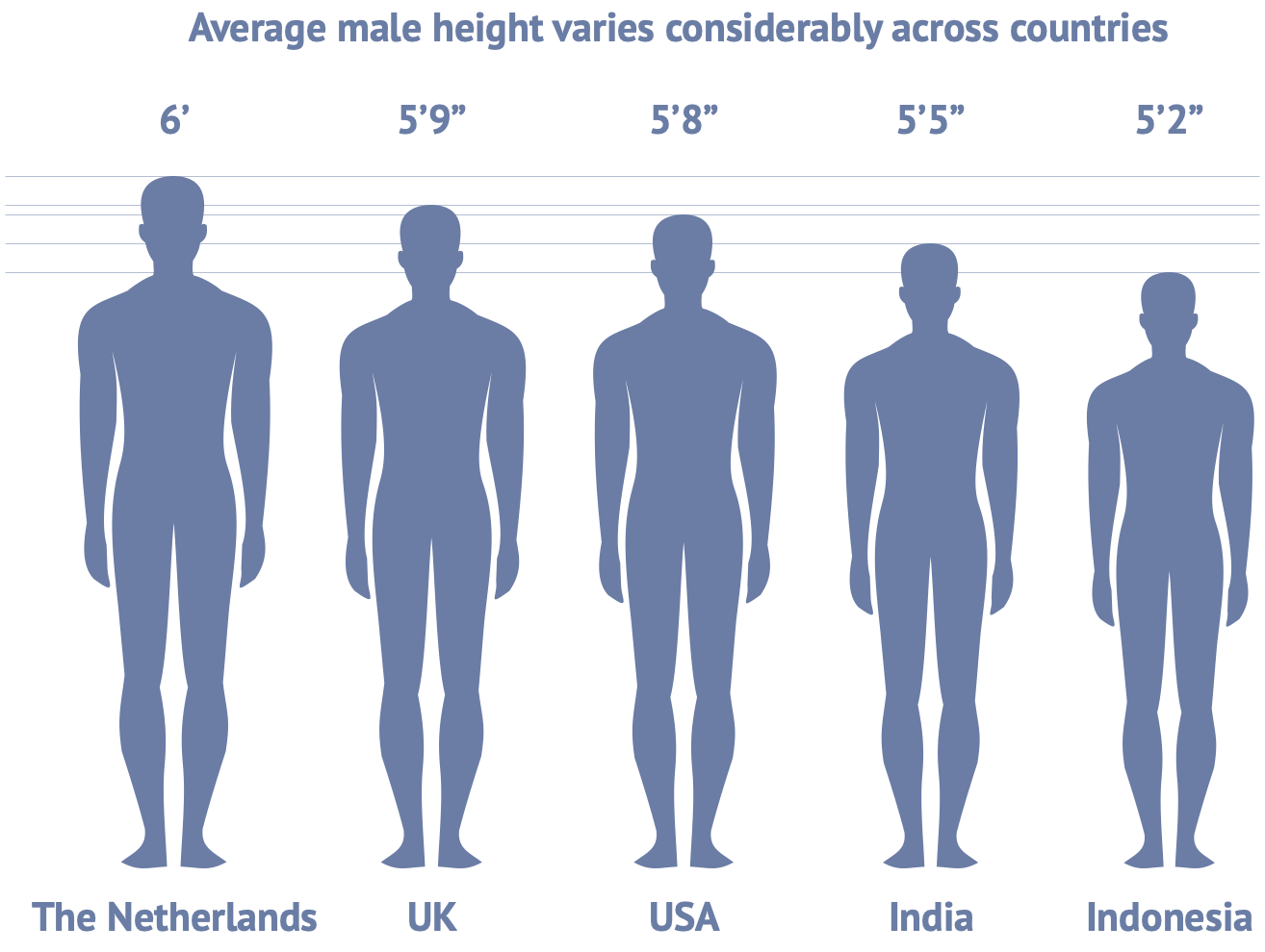 Height comparisons