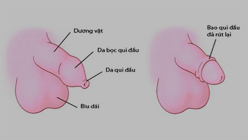 Languages We Translate