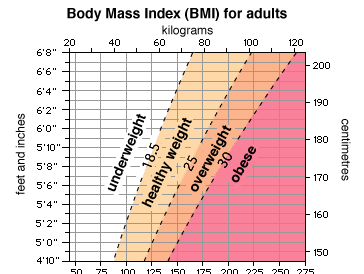 How Do I Interpret Body Mass Index Information?