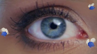 Cameras and the human eye