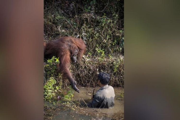 Menjadi PSK di Sebuah Rumah Bordil