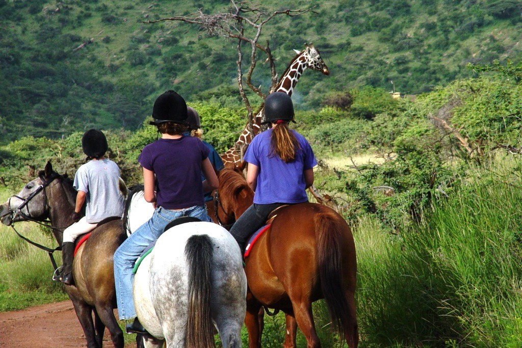 HOW TO SIGN UP FOR A HORSE SAFARI