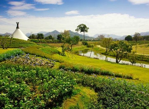 Bergen farm tayland