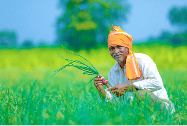 Indian Farming