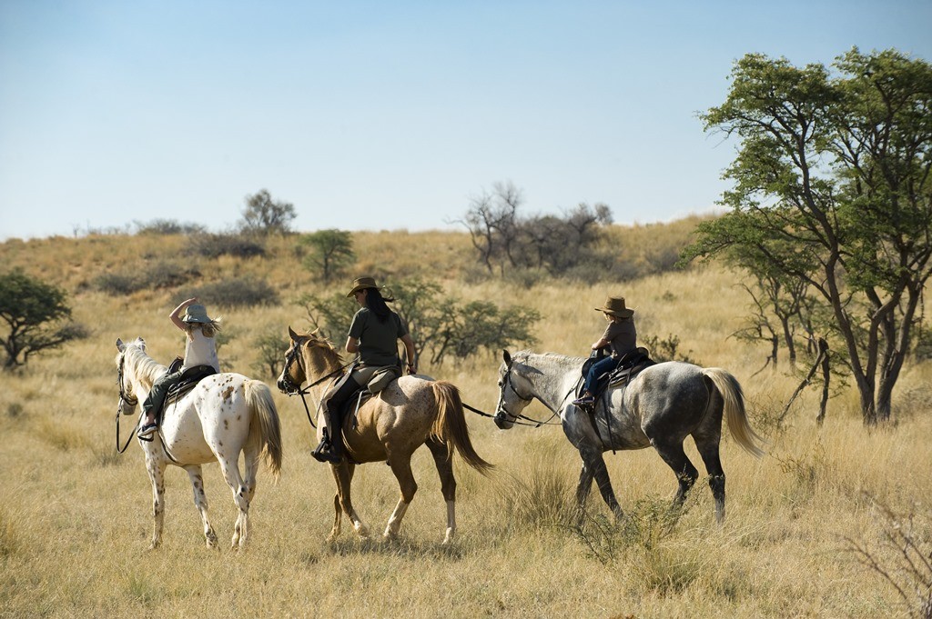 10 African Riding Safaris for Beginners