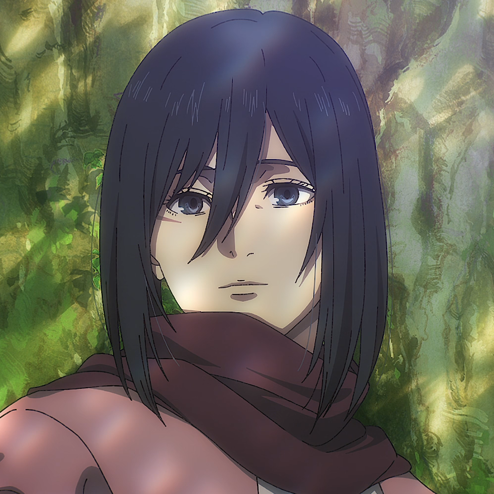 ANIMEmikasa