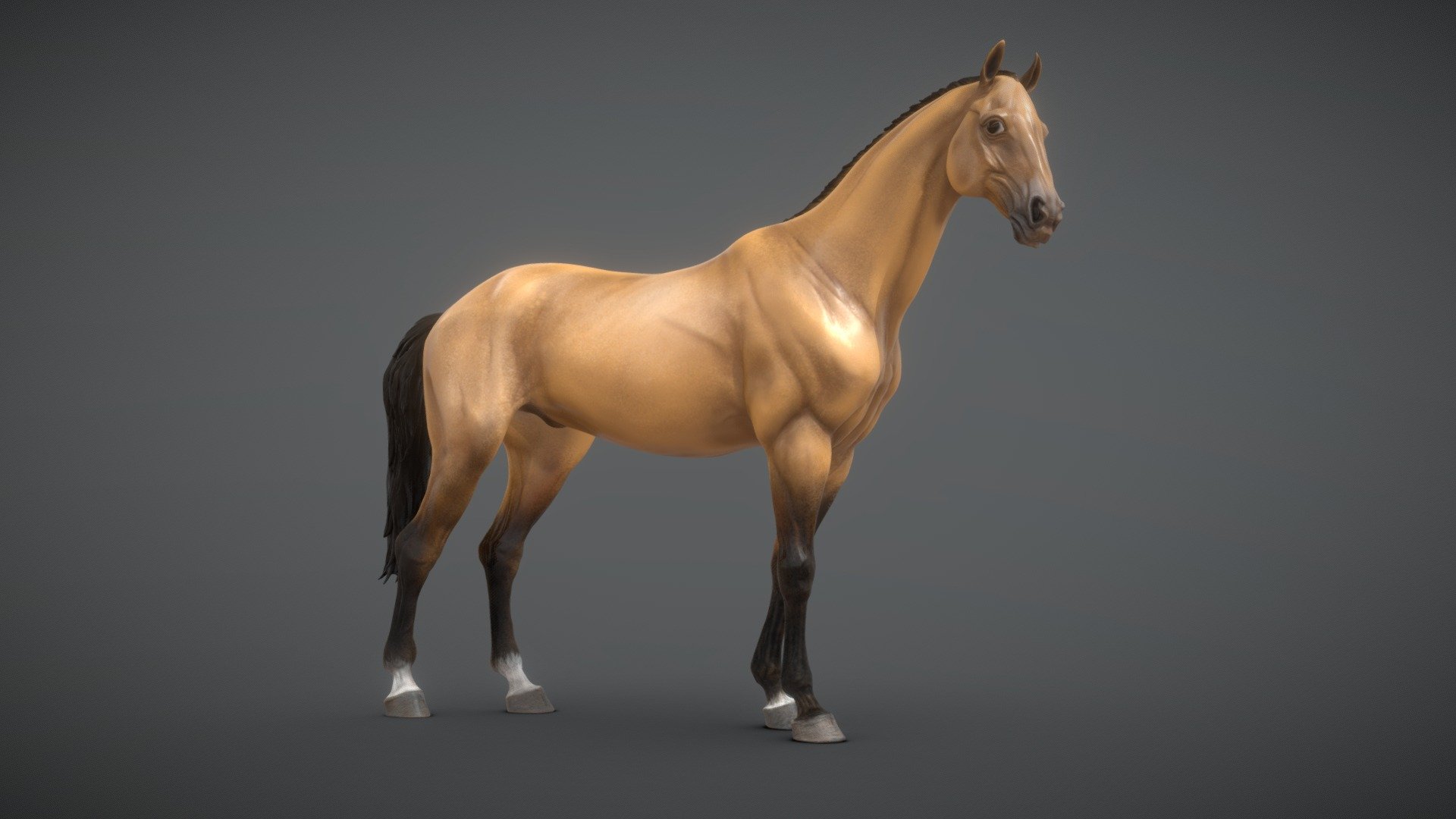 Free 3D Horse Models