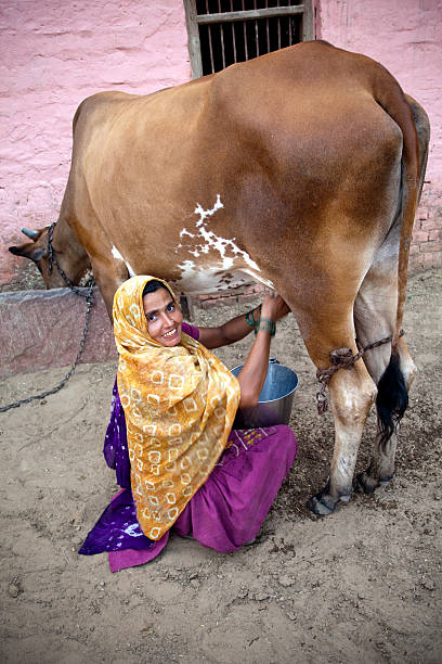 Indian breastfeeding