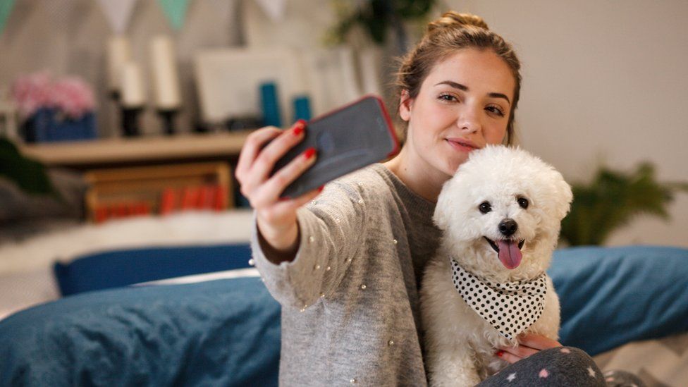 Dog with teens