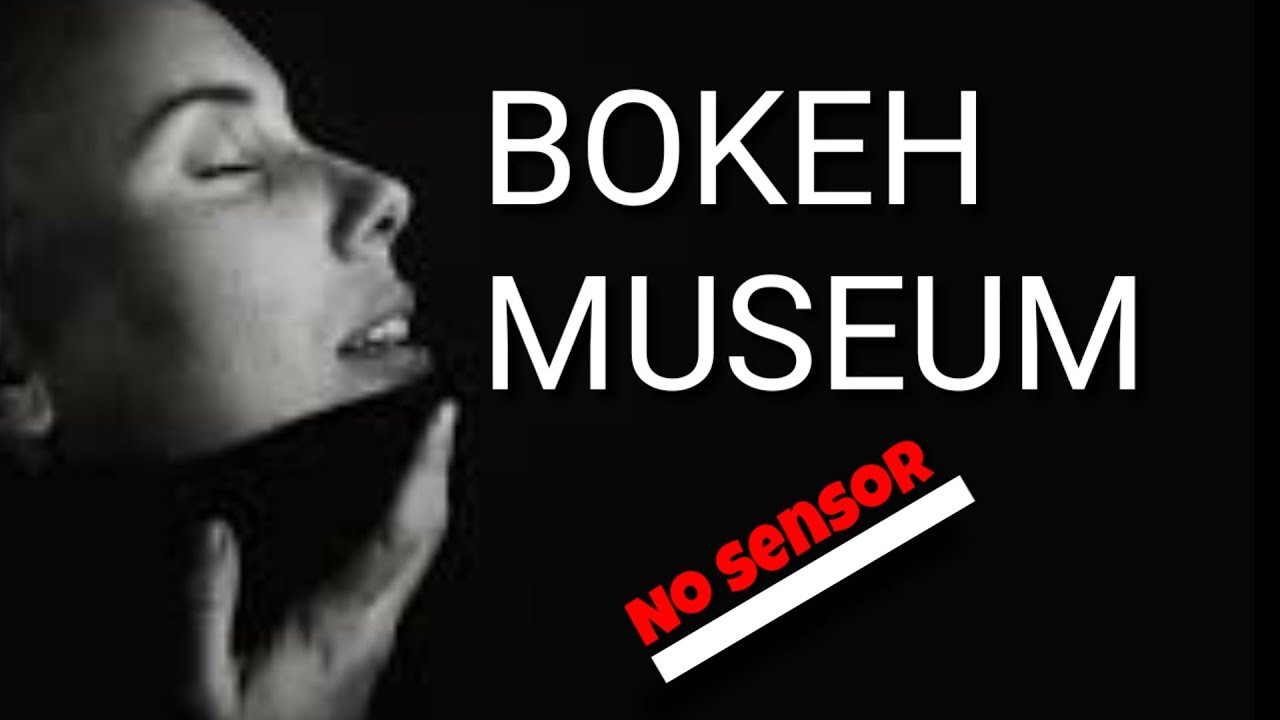 bokeh museum no sensor mp4