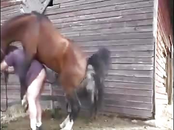 Results for : horse fuking