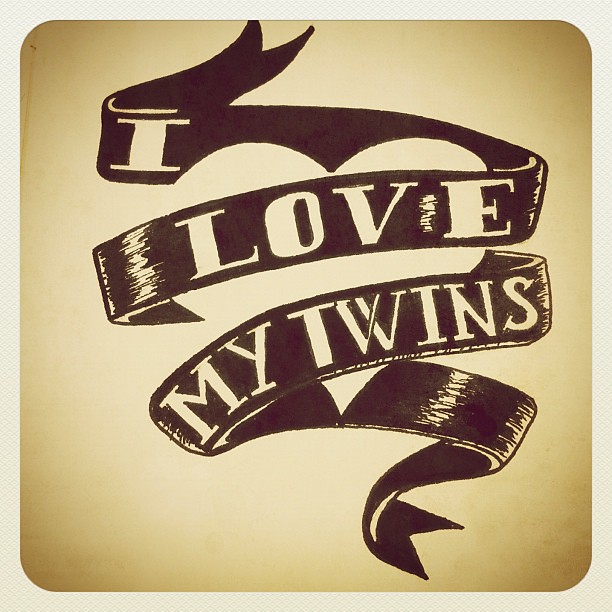 FALLING IN LOVE WITH YOUR TWINS: ONE AT A TIME