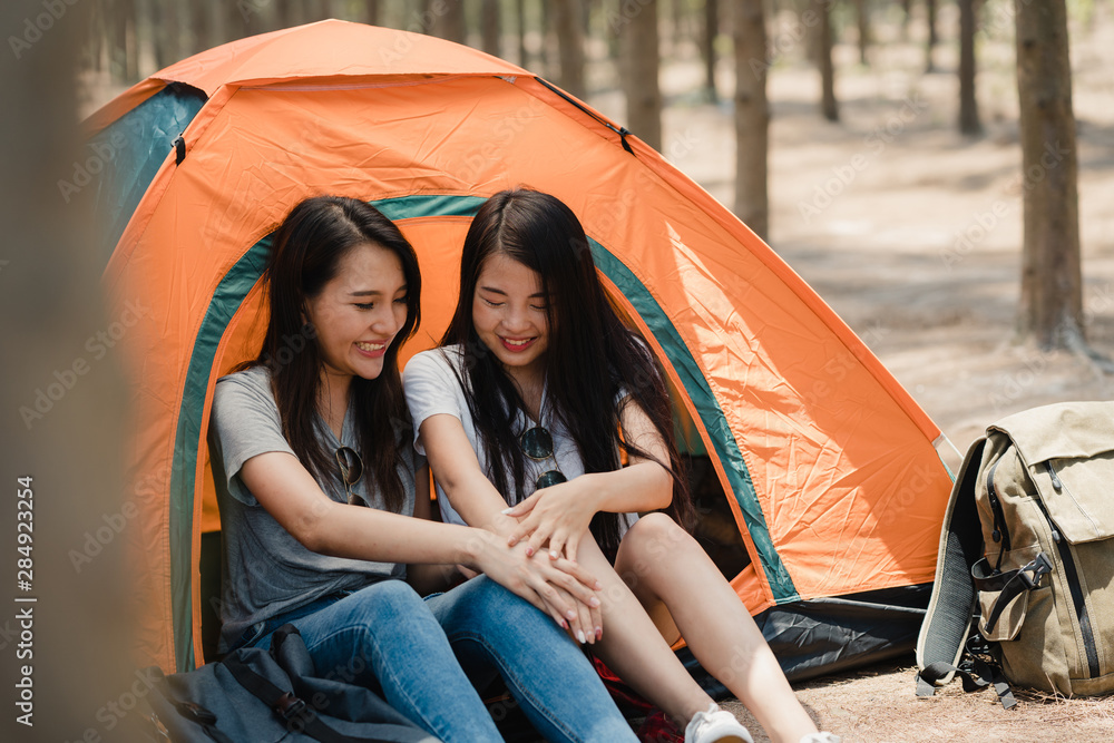 Gay / Lesbian Couple Camping In Tent Ornament