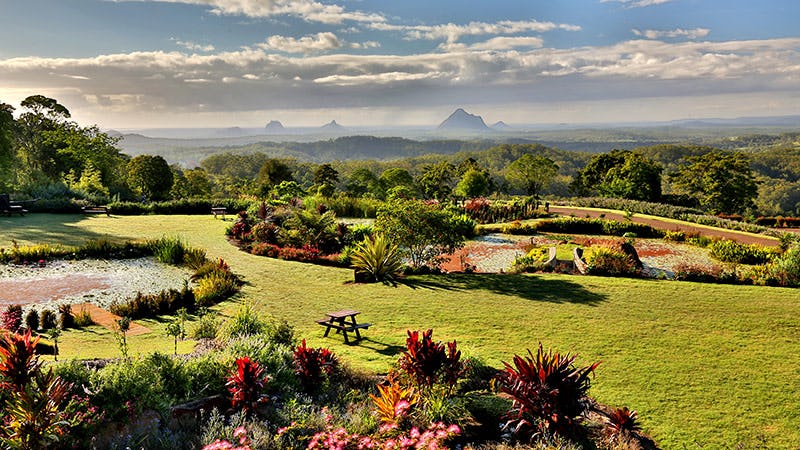 The Maleny Trail