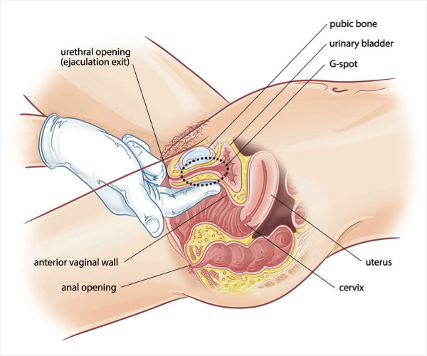 What Is The Purpose Of Vaginal Massage?