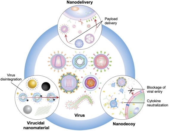 Nano viral