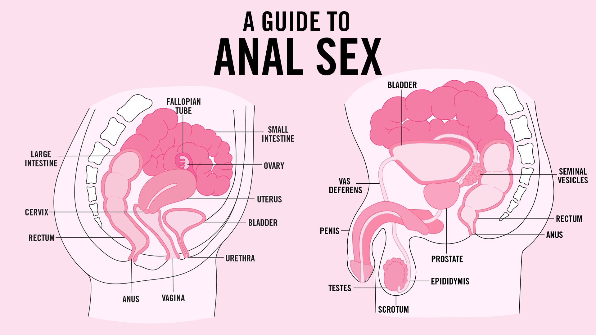 Anal Penetration