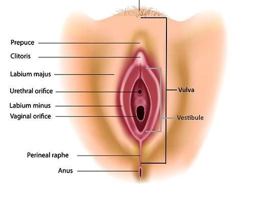 What Causes a Sore Vaginal Area After Sex?