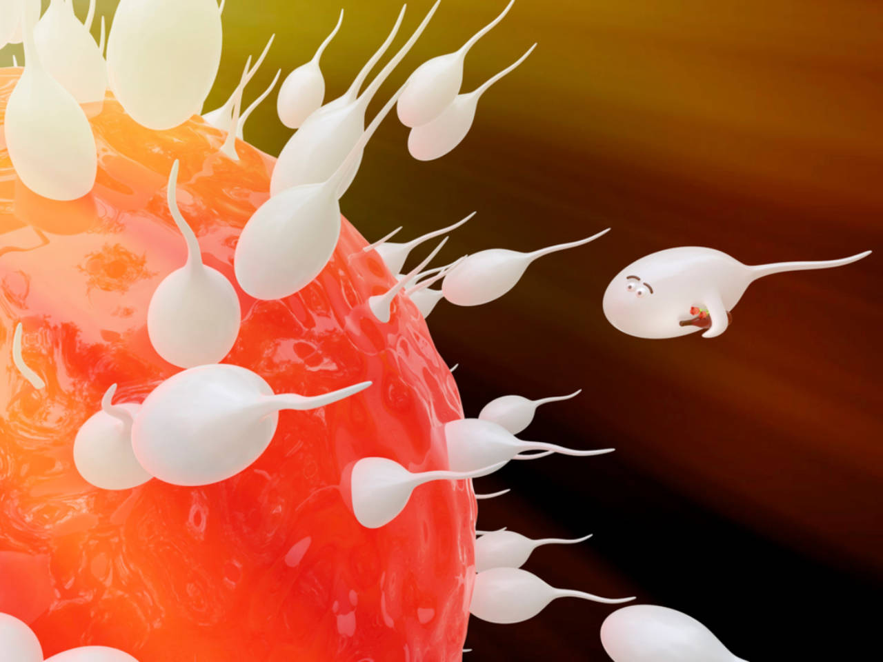 How Long Should One Keep Sperm Inside To Get Pregnant?