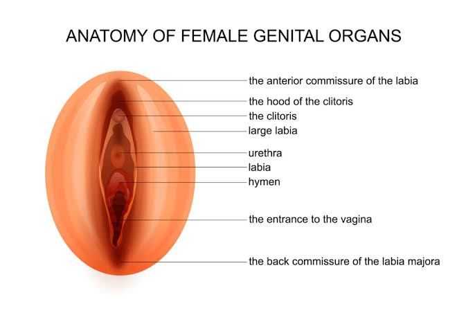 7 Penyebab Vagina Terasa Terlalu Sempit dan Cara Menanganinya